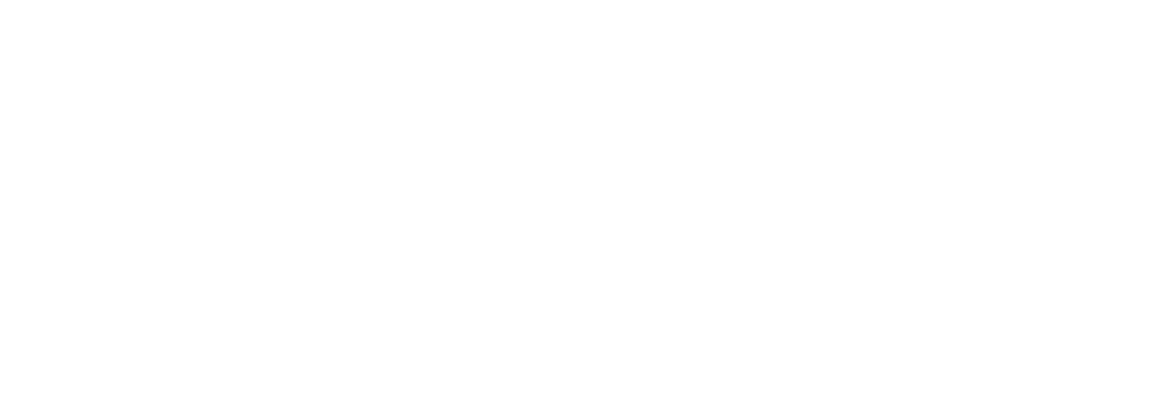 Bidli